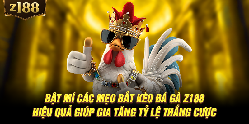 Bật mí các mẹo bắt kèo đá gà Z188 hiệu quả giúp gia tăng tỷ lệ thắng cược