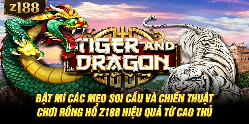 Bật mí các mẹo soi cầu và chiến thuật chơi Rồng Hổ Z188 hiệu quả từ cao thủ