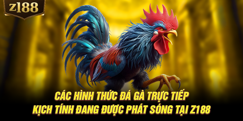 Các hình thức đá gà trực tiếp kịch tính đang được phát sóng tại Z188