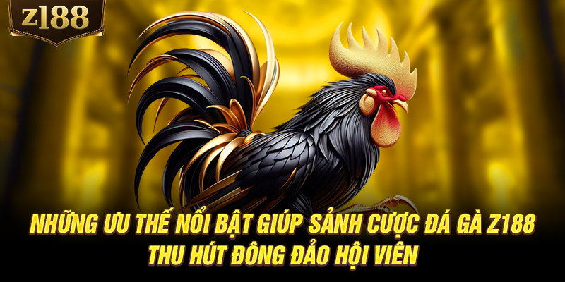 Những ưu thế nổi bật giúp sảnh cược đá gà Z188 thu hút đông đảo hội viên